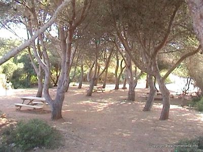 Picnic Area