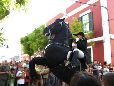 Menorca Horses Fiesta