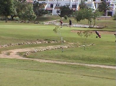 Son Parc Golf