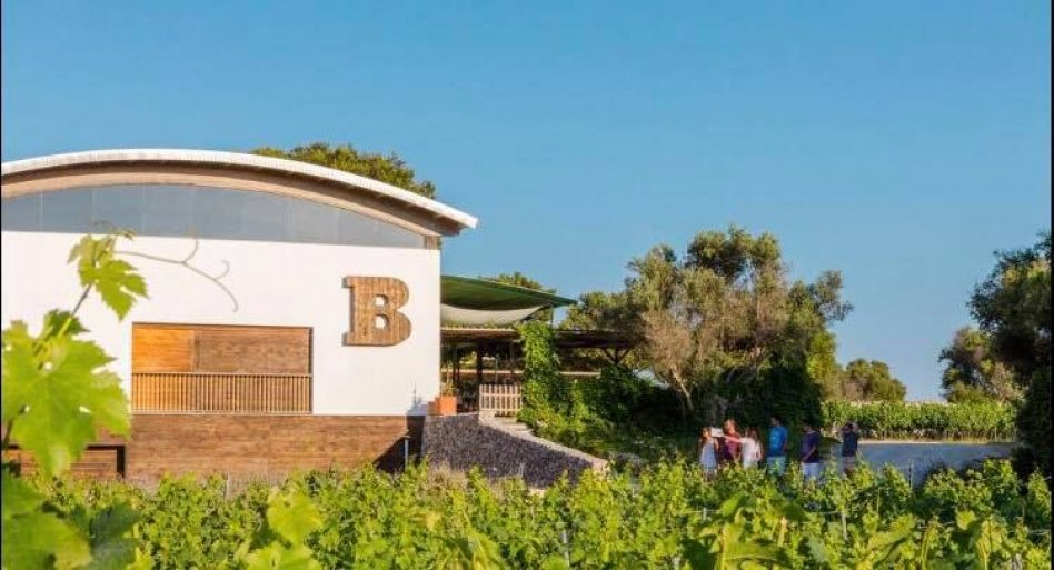 Binifadet - Wine Producer,Menorca