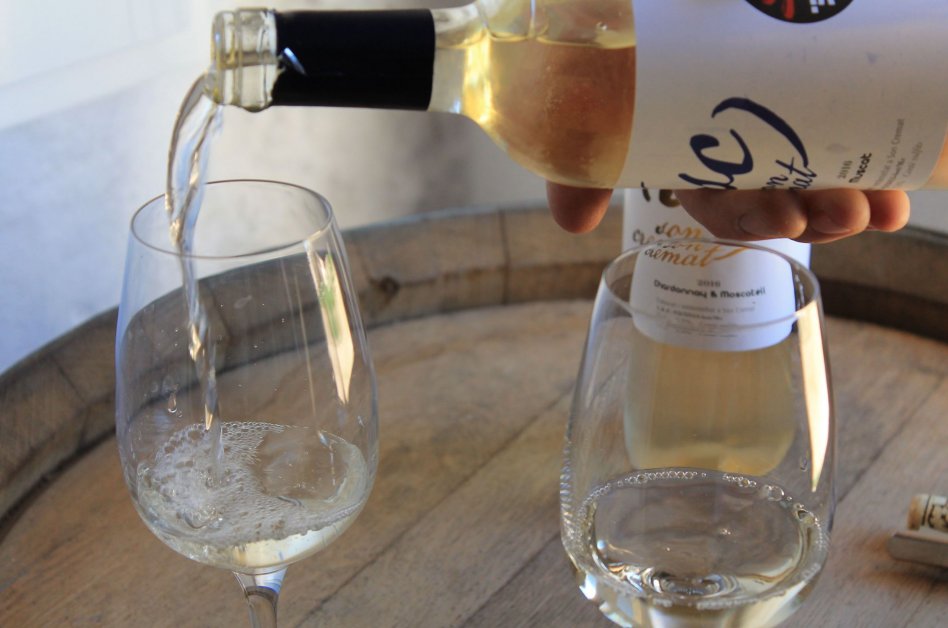 Sa Bodega de Son Cremat - Wine Producer,Menorca