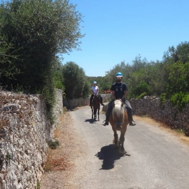 Menorca Horse Riding