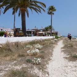 Minorca Spiaggia turistica