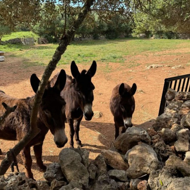 Menorca Childrens Fun
