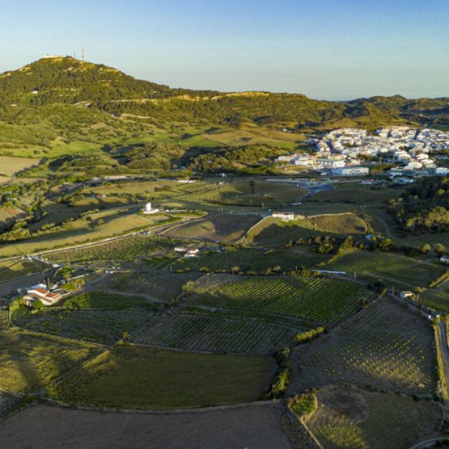 Menorca Wine Producer