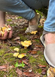 Avarcas where to buy