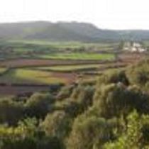 Villa Son Pons in Ferreries