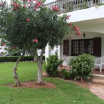 Apartment apartamento en Son Bou in Son Bou