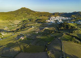 Bodegas Menorquinas Winery