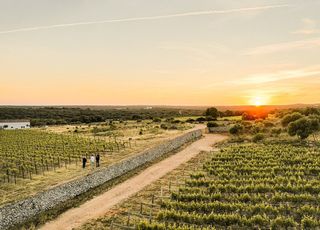 Bodegas Torralbenc Winery