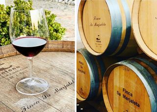 Finca sa Marjaleta Winery