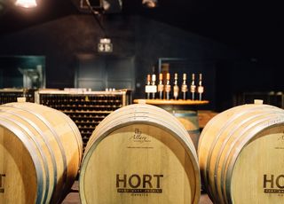 Hort Sant Patrici Winery