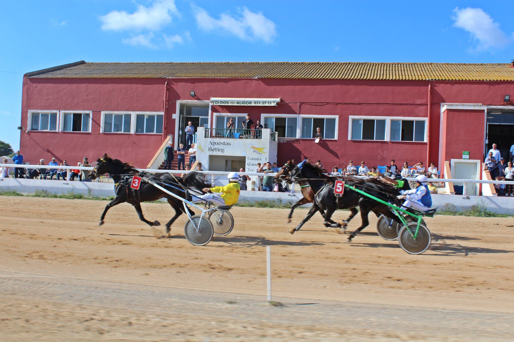 Menorca Horses