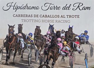 Menorca Horses