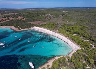 Calan Forcat Boat Trips