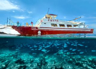 Calan Forcat Boat Trips